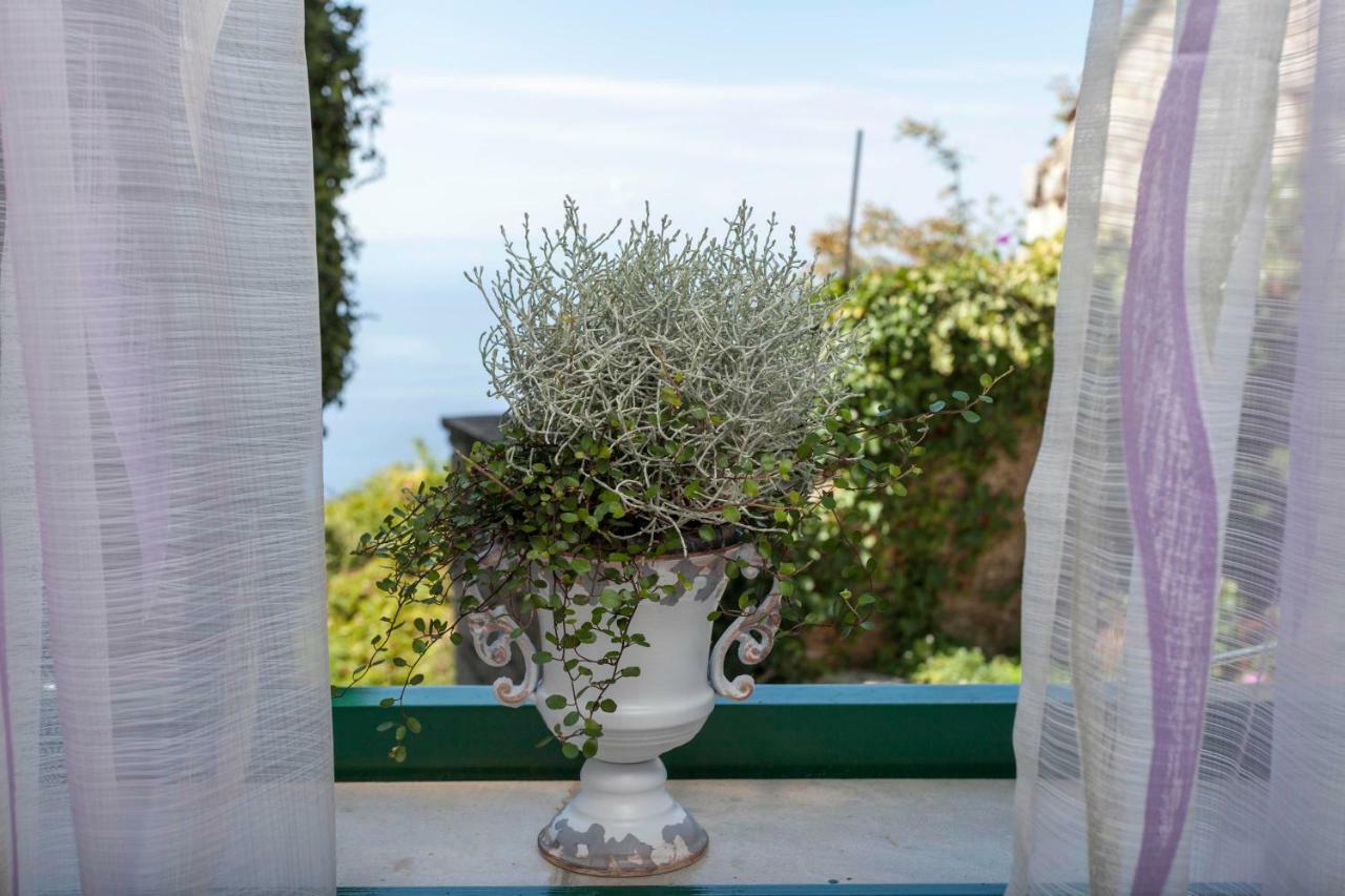 Holiday Home Lavanda Grubisic טוצפי מראה חיצוני תמונה