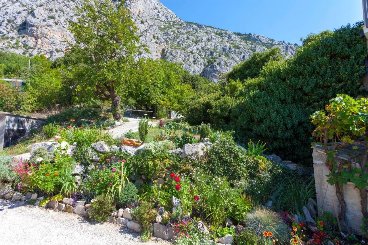 Holiday Home Lavanda Grubisic טוצפי מראה חיצוני תמונה
